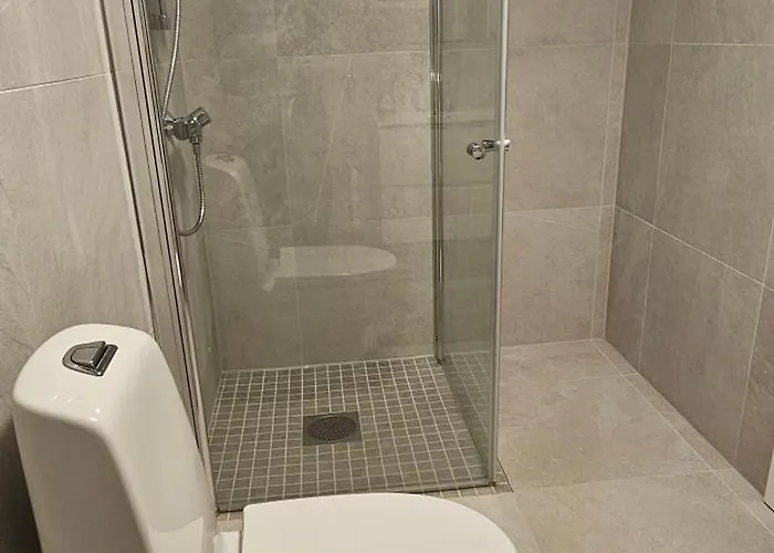 Moderne 2 Roms Leilighet Med Gratis Parkering Naer Sentrum *